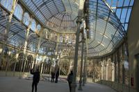 Spaziergang durch Retiro Park am 2.1 (30) &ndash; &copy; Benjamin Rodriguez Manzanares (Eberhardt TRAVEL)