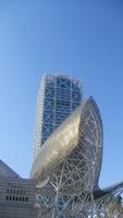 Der Wal von Barcelona &ndash; &copy; Sandra Rößle (Eberhardt TRAVEL)