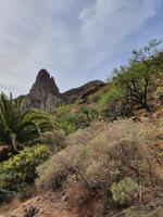 Barranco de Guarimiar &ndash; &copy; Detlef May (Eberhardt TRAVEL)