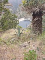 Hermigua Stausee &ndash; &copy; Detlef May (Eberhardt TRAVEL)