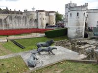 London, Tower &ndash; &copy; Dirk Schlosser (Eberhardt TRAVEL)