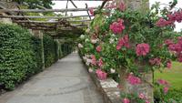 20170706_124517 Gärten von Hever Castle &ndash; &copy; Marlies Thrum (Eberhardt TRAVEL)
