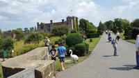 20170706_131605 Hever Castle &ndash; &copy; Marlies Thrum (Eberhardt TRAVEL)