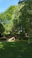 20170707_125432 Leeds Castle &ndash; &copy; Marlies Thrum (Eberhardt TRAVEL)