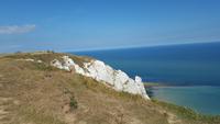 20170708_172002 Spaziergang nach Beachy Head &ndash; &copy; Marlies Thrum (Eberhardt TRAVEL)