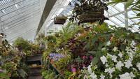 20170709_125100 West Dean Gardens &ndash; &copy; Marlies Thrum (Eberhardt TRAVEL)