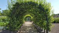 20170709_125631 West Dean Gardens &ndash; &copy; Marlies Thrum (Eberhardt TRAVEL)