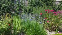 20170709_125838 West Dean Gardens &ndash; &copy; Marlies Thrum (Eberhardt TRAVEL)