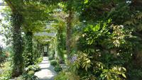 20170709_130624 West Dean Gardens &ndash; &copy; Marlies Thrum (Eberhardt TRAVEL)