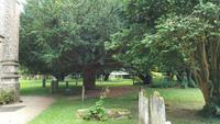 20170709_161452 Alton &ndash; &copy; Marlies Thrum (Eberhardt TRAVEL)