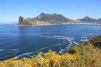 Hout Bay