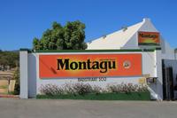 Trockenfrucht-Plantage in Montagu