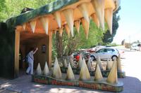 Besuch der Cango Wildlife Ranch in Oudtshoorn