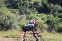 Jeepsafari im Kariega Game Reserve