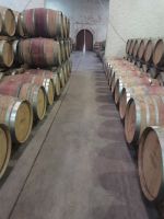 Weingut Jordan &ndash; &copy; Anette Rietz (Eberhardt TRAVEL)