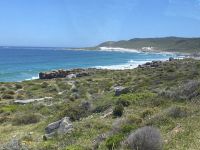Cape Point - Indischer Ozean &ndash; &copy; Falk Rätzer (Eberhardt TRAVEL)