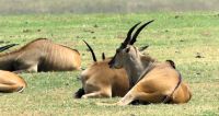 Südafrika  - unterwegs nach Johannesburg &ndash; &copy; Annett Müller (Eberhardt TRAVEL)