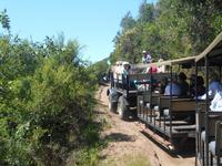 Featherbed Naturreservat (Fahrt mit Geländewagen) &ndash; &copy; Katrin Deutschbein (Eberhardt TRAVEL)