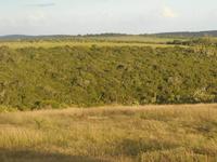 Abend-Safari am 25.02. - Idylle im Kariega Wildreservat &ndash; &copy; Katrin Deutschbein (Eberhardt TRAVEL)
