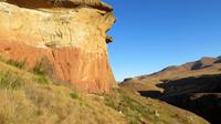 Mushroom Trail Golden Gate National Park &ndash; &copy; Anna Stiebing (Eberhardt TRAVEL)