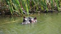 Safari im Kariega Wildreservat &ndash; &copy; Anna Stiebing (Eberhardt TRAVEL)