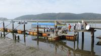 Knysna &ndash; &copy; Anna Stiebing (Eberhardt TRAVEL)