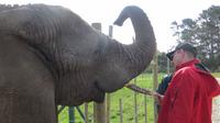 Knysna Elephant Park &ndash; &copy; Anna Stiebing (Eberhardt TRAVEL)