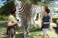 IMG_2481 &ndash; &copy; Annett Müller (Eberhardt TRAVEL)
