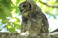 IMG_2511 &ndash; &copy; Annett Müller (Eberhardt TRAVEL)