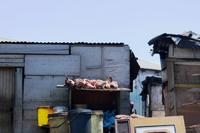 Langa Township &ndash; &copy; Annett Müller (Eberhardt TRAVEL)