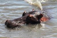 IMG_3677 &ndash; &copy; Annett Müller (Eberhardt TRAVEL)
