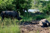 IMG_3949 &ndash; &copy; Annett Müller (Eberhardt TRAVEL)