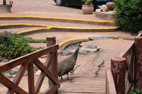IMG_4160 &ndash; &copy; Annett Müller (Eberhardt TRAVEL)