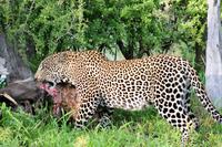 Mahlzeit &ndash; &copy; Annett Müller (Eberhardt TRAVEL)