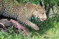 IMG_4562 &ndash; &copy; Annett Müller (Eberhardt TRAVEL)