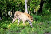 IMG_4570 &ndash; &copy; Annett Müller (Eberhardt TRAVEL)