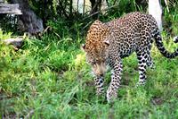 IMG_4571 &ndash; &copy; Annett Müller (Eberhardt TRAVEL)