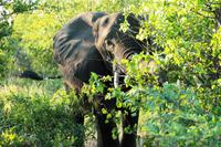 IMG_4771 &ndash; &copy; Annett Müller (Eberhardt TRAVEL)