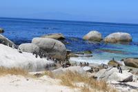 Boulders Bay &ndash; &copy; Claudia Kleber (Eberhardt TRAVEL)