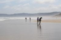 Strand Wilderness &ndash; &copy; Claudia Kleber (Eberhardt TRAVEL)