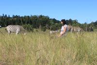 Elephant Park Knysna &ndash; &copy; Claudia Kleber (Eberhardt TRAVEL)