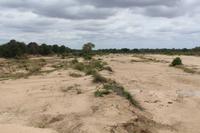 Krüger Nationalpark &ndash; &copy; Claudia Kleber (Eberhardt TRAVEL)