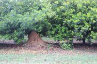 Gecko Lodge &ndash; &copy; Claudia Kleber (Eberhardt TRAVEL)
