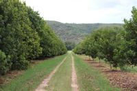 Gecko Lodge &ndash; &copy; Claudia Kleber (Eberhardt TRAVEL)