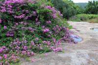 Gecko Lodge &ndash; &copy; Claudia Kleber (Eberhardt TRAVEL)