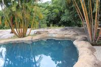 Gecko Lodge &ndash; &copy; Claudia Kleber (Eberhardt TRAVEL)