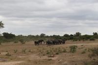 Krüger Nationalpark &ndash; &copy; Claudia Kleber (Eberhardt TRAVEL)