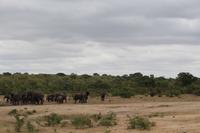Krüger Nationalpark &ndash; &copy; Claudia Kleber (Eberhardt TRAVEL)