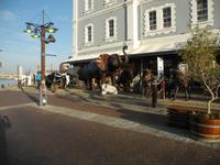 Kapstadt &ndash; &copy; Claudia Kleber (Eberhardt TRAVEL)