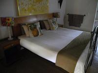 Gecko Lodge